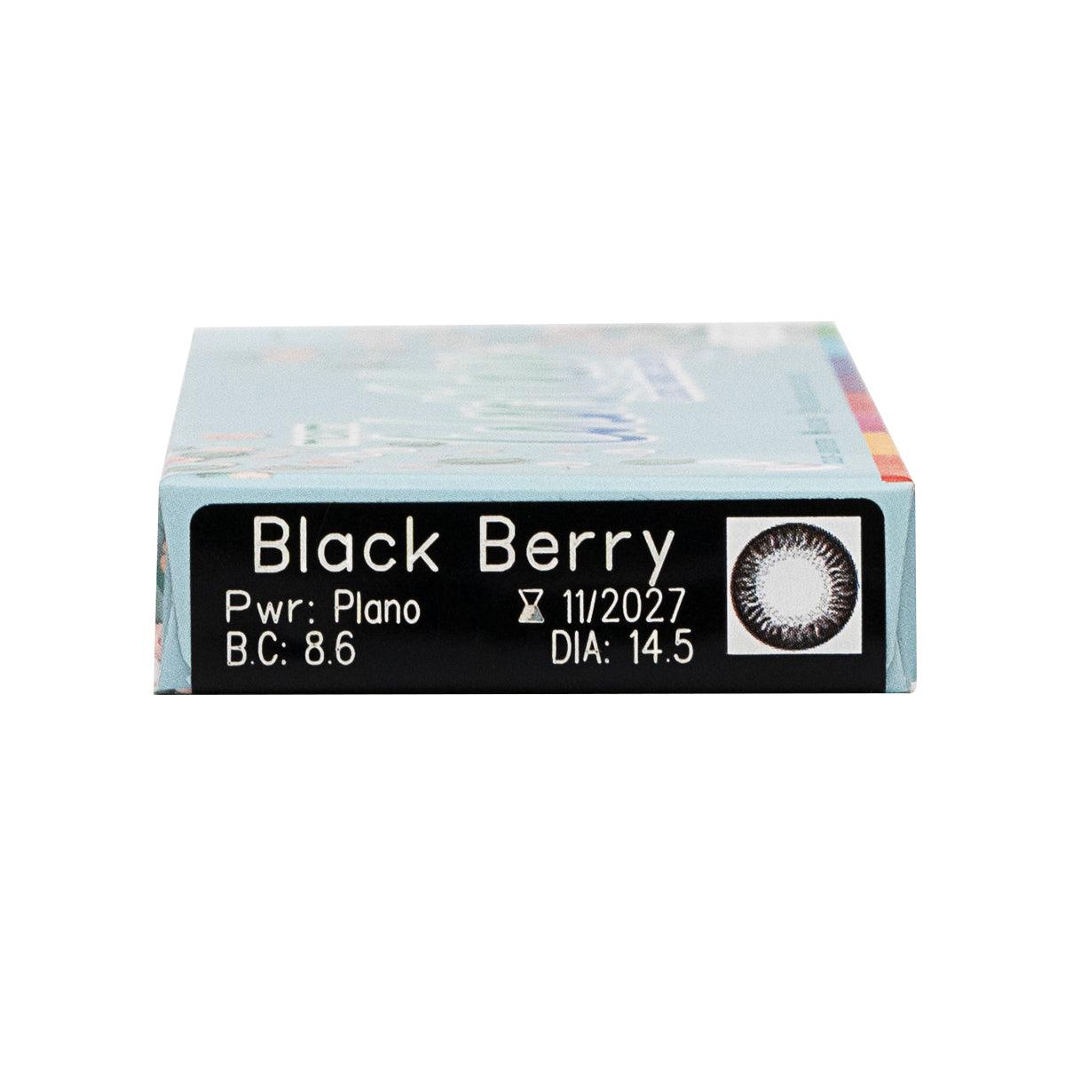 Maxim Color 1 Day Black Berry - TA-TO.com