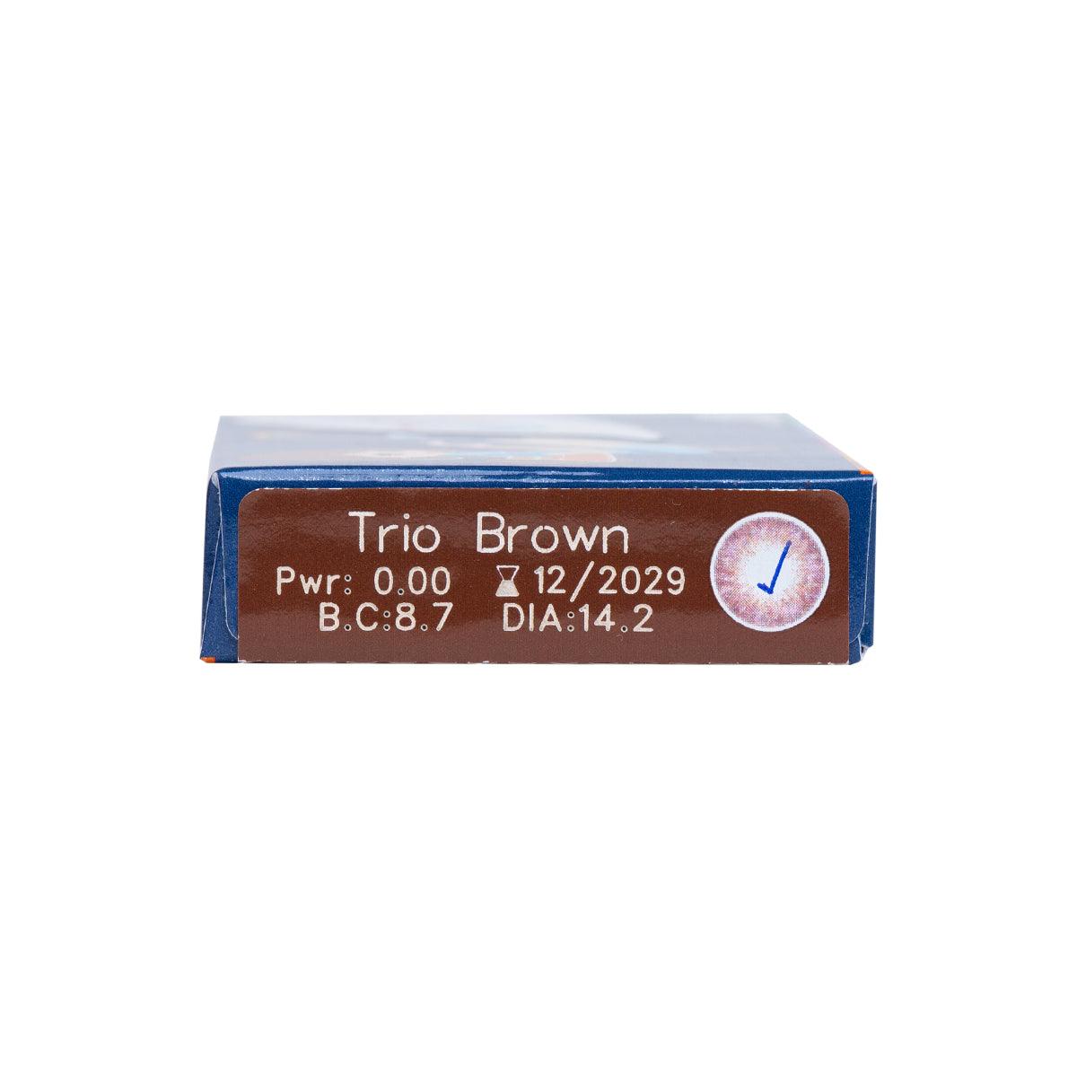 Maxim Colors Trio Brown - TA-TO.com